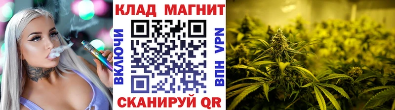 Купить наркотики Волгореченск СК  Гашиш  Конопля  Cocaine 